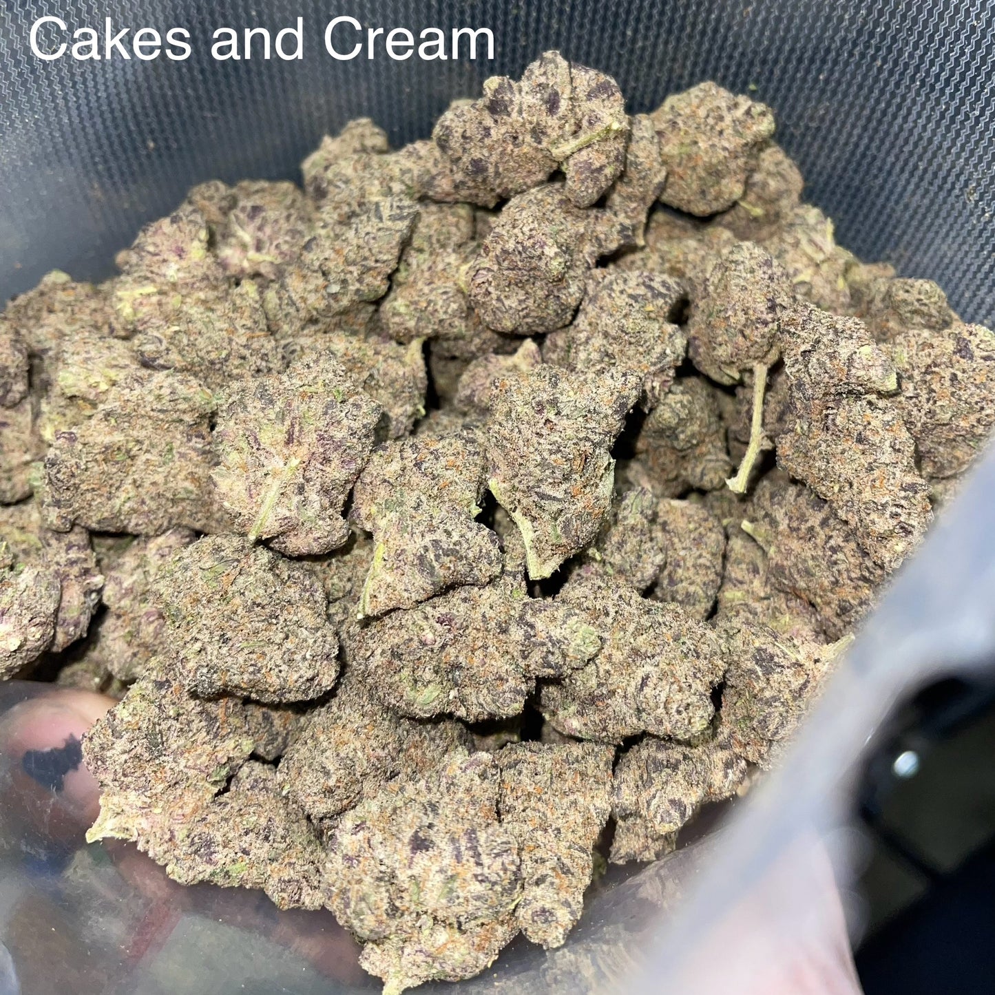 THCA Flower: Cakes & Cream